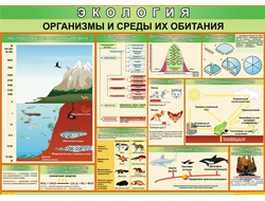 Виниловые таблицы по экологии и биологии