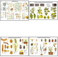 Плакаты ПРОФТЕХ "Вредители и болезни сельскохозяйственных культур" (15 пл, винил, 70х100)