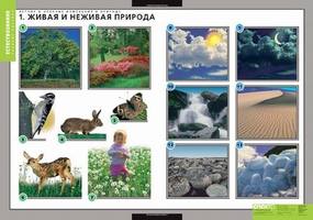 Комплект таблиц "Летние и осенние изменения в природе" (13 таблиц + 32 карточки)
