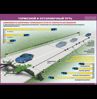 Стенд "Тормозной и остановочный путь", 0,6Х0,4 м, без карманов