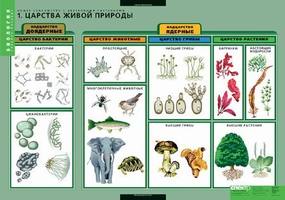 Комплект таблиц. Общее знакомство с цветковыми растениями (6 таблиц)