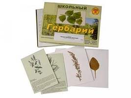 Гербарий "Основные группы растений. Грибы. Лишайники" (53 листа, с иллюстрациями и фотографиями)