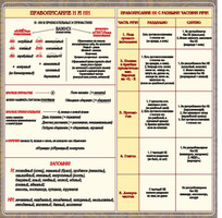 Стенд "Правописание Н и НН", 1х1 м, без карманов