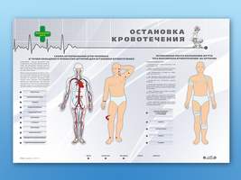 Электрифицированный стенд "Остановка кровотечения" (Станция "Медицина")