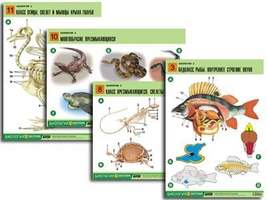 Комплект таблиц по биологии дем. "Зоология 2" (16 табл., формат А1, лам.)