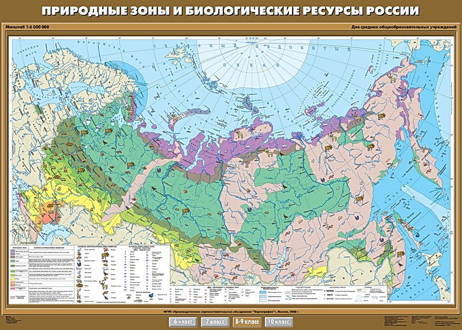 Подпишите на карте природные зоны россии 8 класс контурная карта