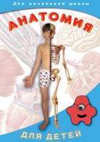 DVD-фильм Анатомия для детей