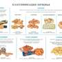 Комплект плакатов «Товароведение продовольственных товаров» 30 плакатов, 59х84 см, А1, двухстороннее