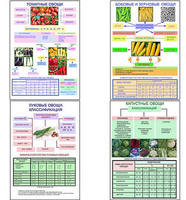 Плакаты ПРОФТЕХ "Классификация овощей" (11 пл, винил, 70х100)