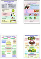 Плакаты ПРОФТЕХ "Классификация овощей и переработка"   (8 пл, винил, 70х100)