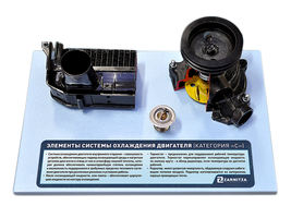 Комплект деталей "Элементы системы охлаждения двигателя" (категория "С")