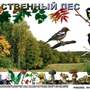 Природные зоны России, сообщества  (1-4 кл), Комплект таблиц, 18 таблиц, размером 50х70 см