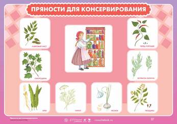 Плакат Пряности для консервирования, 59х84 см, А1, двухстороннее ламинирование