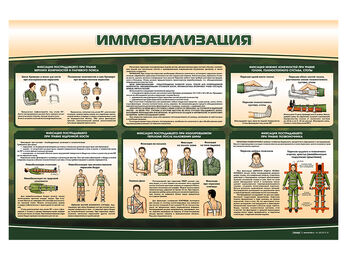 Стенд "Иммобилизация"