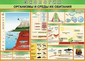 Таблица Организмы и среды их обитания (винил)