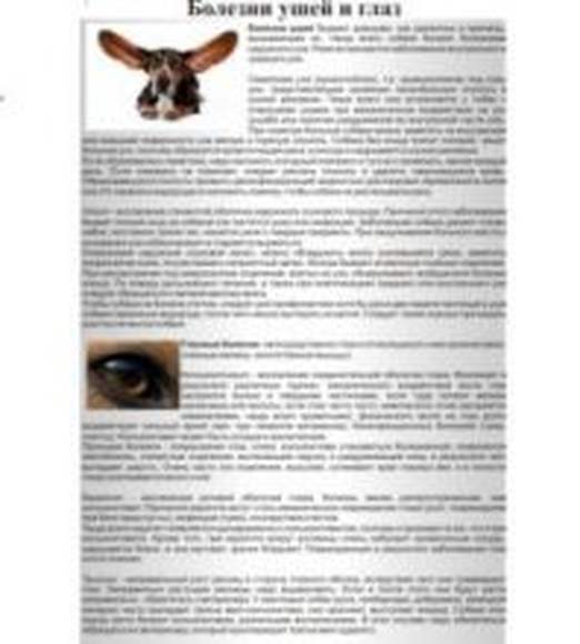 Плакаты по ветеринарии (51шт.), 59х84 см, А1, двухстороннее ламинирование