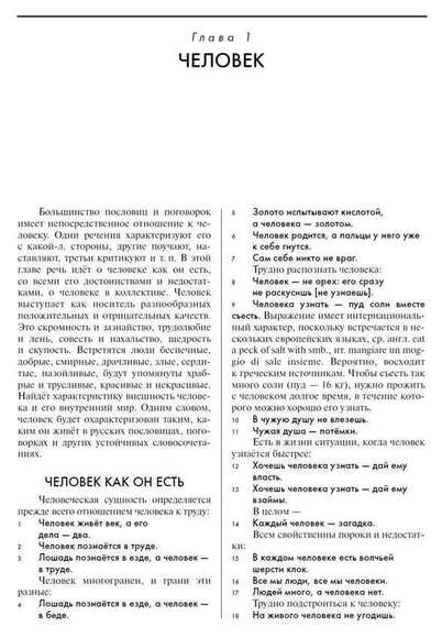 Словарь-тезаурус русских пословиц, поговорок и метких выражений
