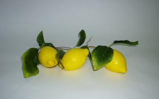 Ветка муляжей "Лимоны"