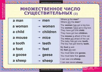 Таблицы Существительные.Прилагательные.Числительные 9 шт