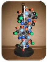 Модель "Структура белка"