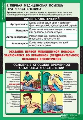 Таблицы Правила оказания первой медицинской помощи 15 шт