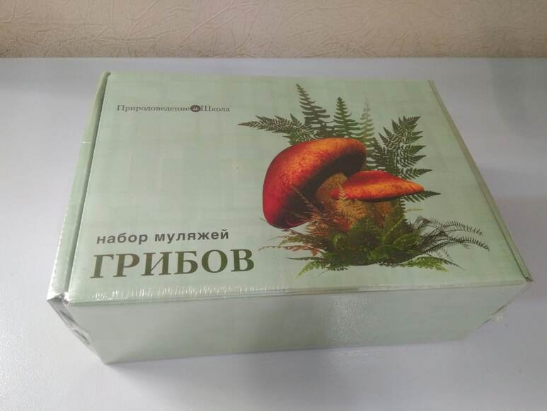 Набор муляжей грибов