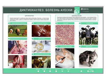 Электрифицированный стенд «Диктиокаулез. Болезнь Ауески»