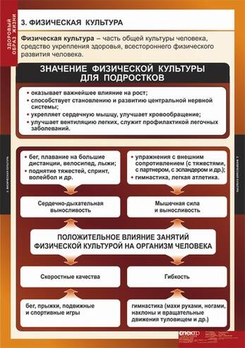 Таблицы Здоровый образ жизни 8 шт