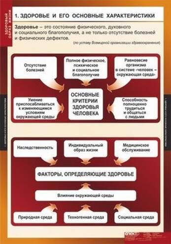Таблицы Здоровый образ жизни 8 шт