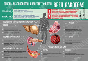 Стенд "Вред алкоголя" (1,3х0,9 м, Стандарт)