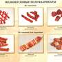 Комплект плакатов «Механическая кулинарная обработка продуктов» 20 плакатов, 59х84 см, А1, двухсторо