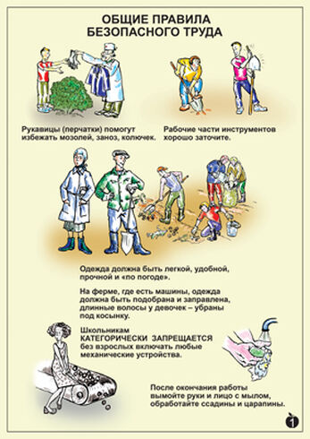 Правила безопасного труда (10 таблиц, размер 42х59)