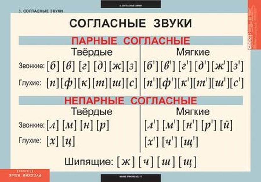 Таблицы Русский язык 1 класс 10 таблиц