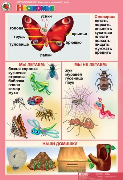 Комплект таблиц Окружающий мир 5-6 лет. Животные и растения 12 шт