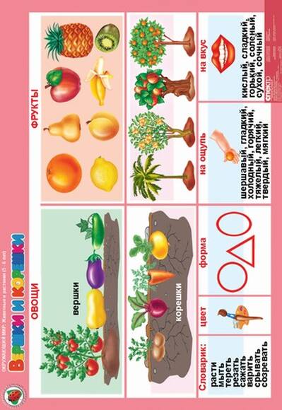 Комплект таблиц Окружающий мир 5-6 лет. Животные и растения 12 шт