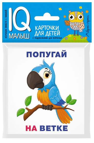 Посылка. Базовый комплект IQ-игр. Учимся читать сложные слова, словосочетания, предложения