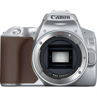 Зеркальный фотоаппарат CANON EOS 250D kit ( EF-S 18-55mm f/1:4-5.6 IS STM),  серебристый