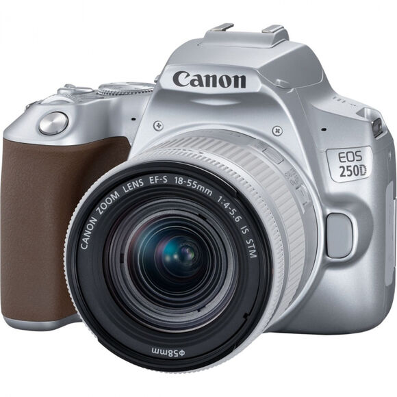 Зеркальный фотоаппарат CANON EOS 250D kit ( EF-S 18-55mm f/1:4-5.6 IS STM),  серебристый