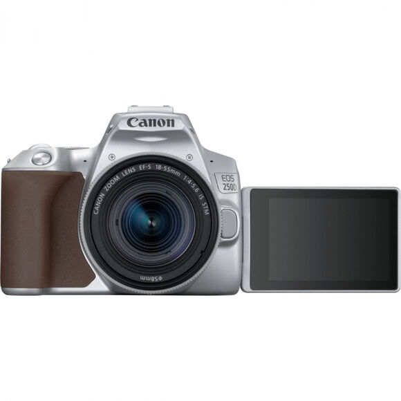 Зеркальный фотоаппарат CANON EOS 250D kit ( EF-S 18-55mm f/1:4-5.6 IS STM),  серебристый