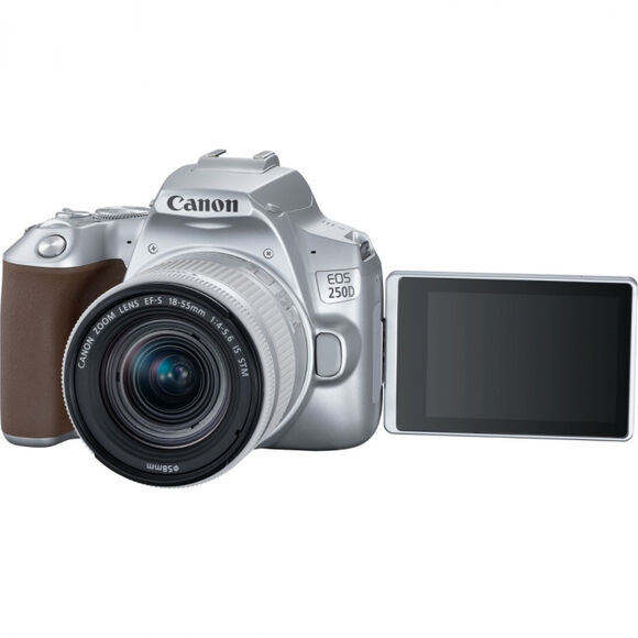 Зеркальный фотоаппарат CANON EOS 250D kit ( EF-S 18-55mm f/1:4-5.6 IS STM),  серебристый