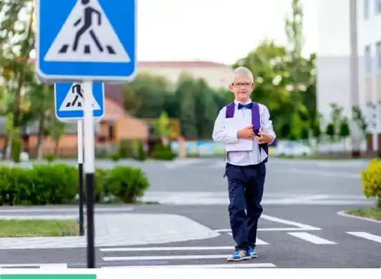 Безопасность дорожного движения