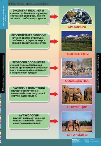 Комплект таблиц. Введение в экологию (18 таблиц)