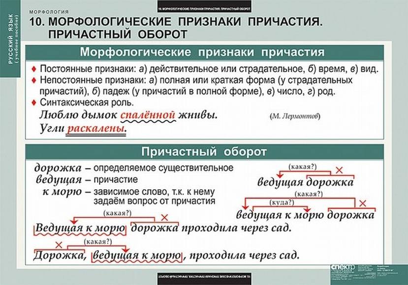 Таблицы Русский язык. Морфология 15 шт