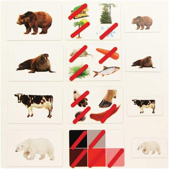 Набор магнитных карточек "Загадки-отрицания" (животные) (Арт. 2062)