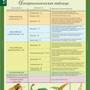Комплект таблиц. Биология 10-11 классы. Эволюционное учение (10 таблиц)
