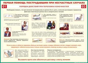 Таблица Порядок действий при переломах конечностей  700х1000 Винил
