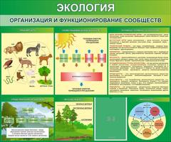 Стенд для кабинета биологии и экологии "Экология. Организация и функционирование сообществ", 1,2x1 м