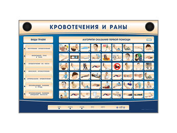 Трехсекционный базовый комплект "Травмы, Кровотечения, Ожоги" для курсантов специализированных учреж