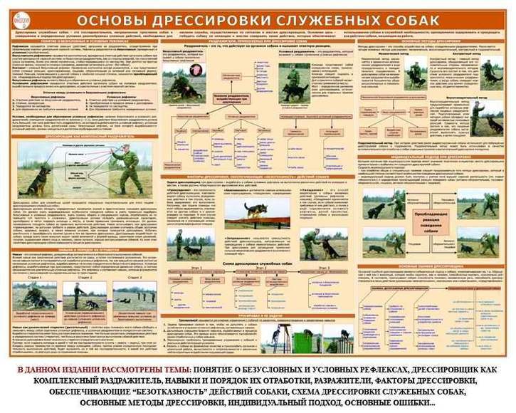 Комплект из 10 плакатов  Кинология, 1000х700 мм  (бумага, 150 гр./кв. м)