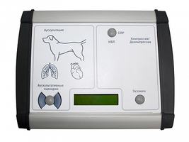 Тренажер для проведения сердечно-легочной реанимации у собак и процедуры плевральной пункции при гид